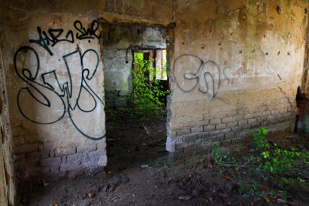 IMG 4512