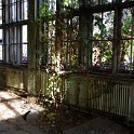 IMG 4463