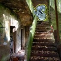 IMG 4470