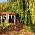IMG 4477