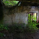 IMG 4516