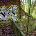 IMG 4520