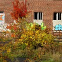 IMG 4535