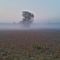 Frühmorgens