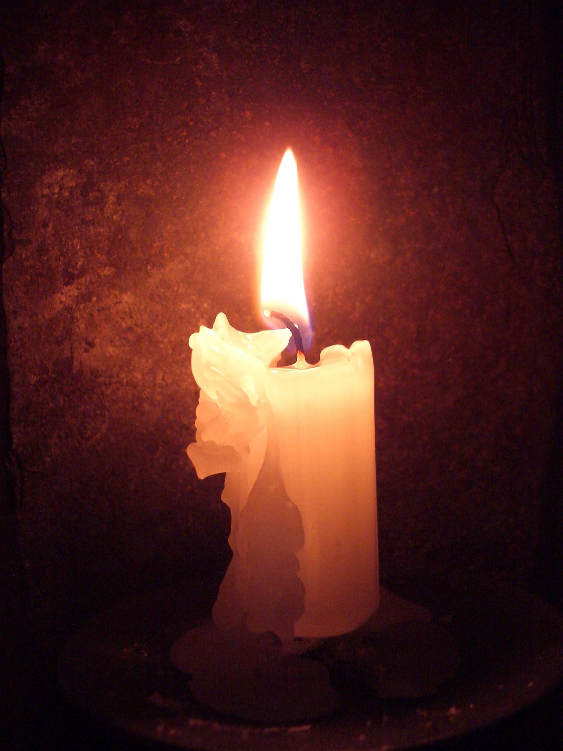 IMGP4402