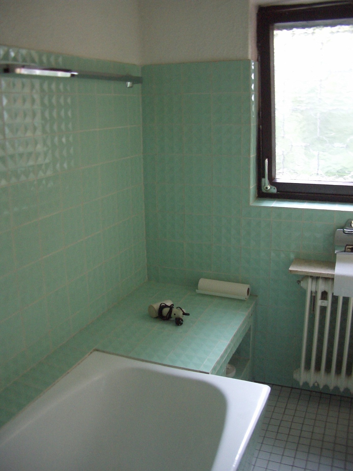 IMGP4195