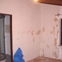 IMGP4482
