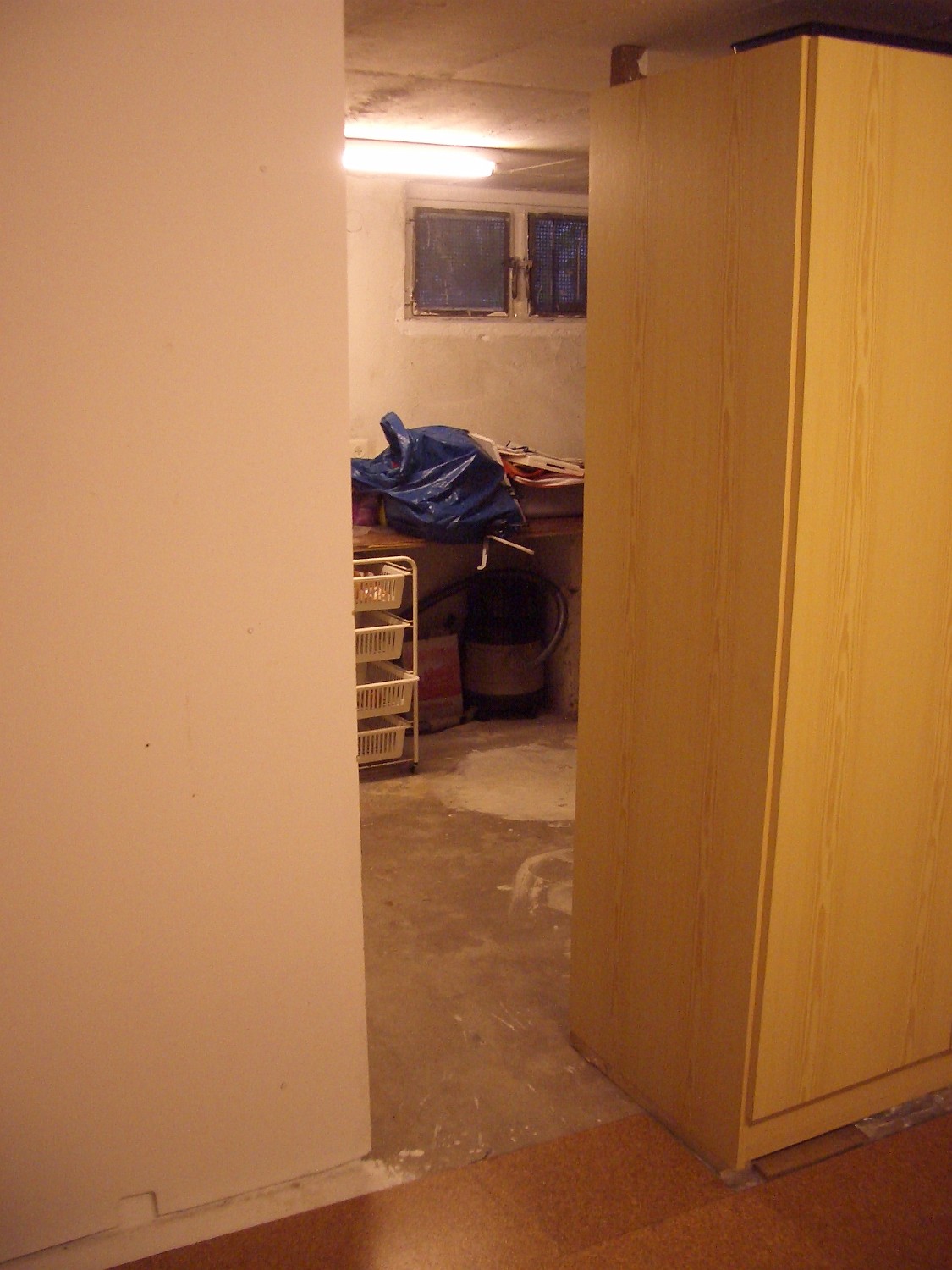 IMGP4221