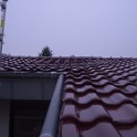 IMGP6020