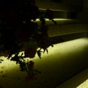 P1060581