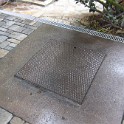 IMG 1788