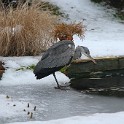 IMG 5199