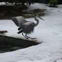 IMG 5241
