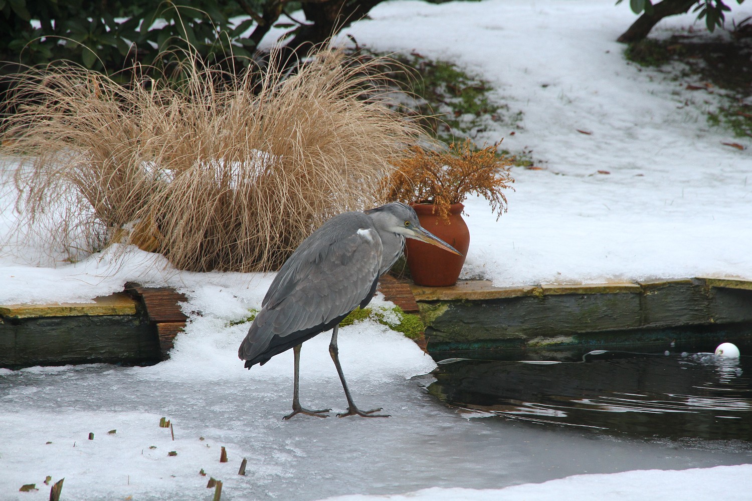 IMG 5188
