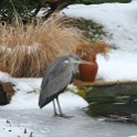 IMG 5191