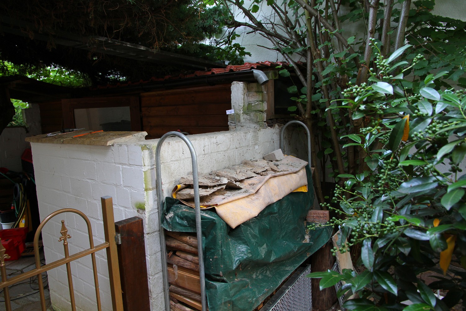 IMG 8956
