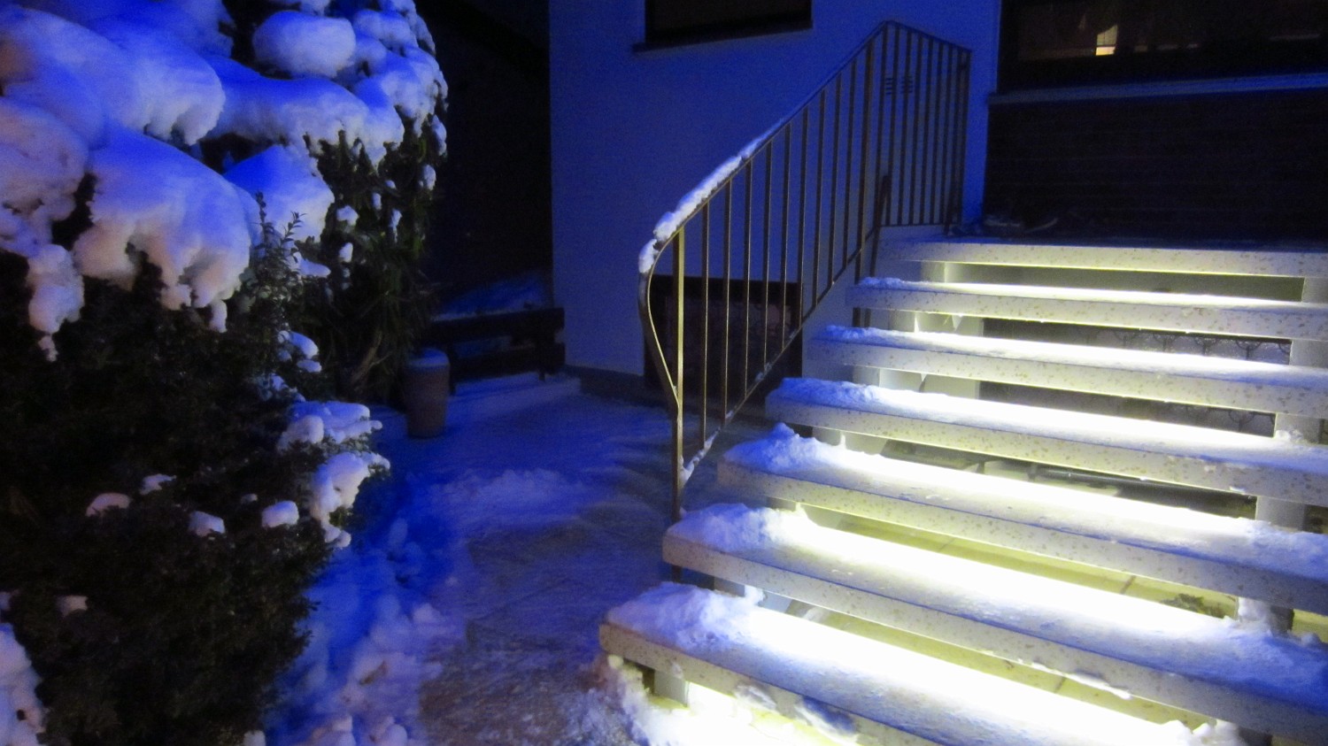 IMG 3366