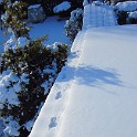 IMG 3344