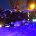 IMG 3379