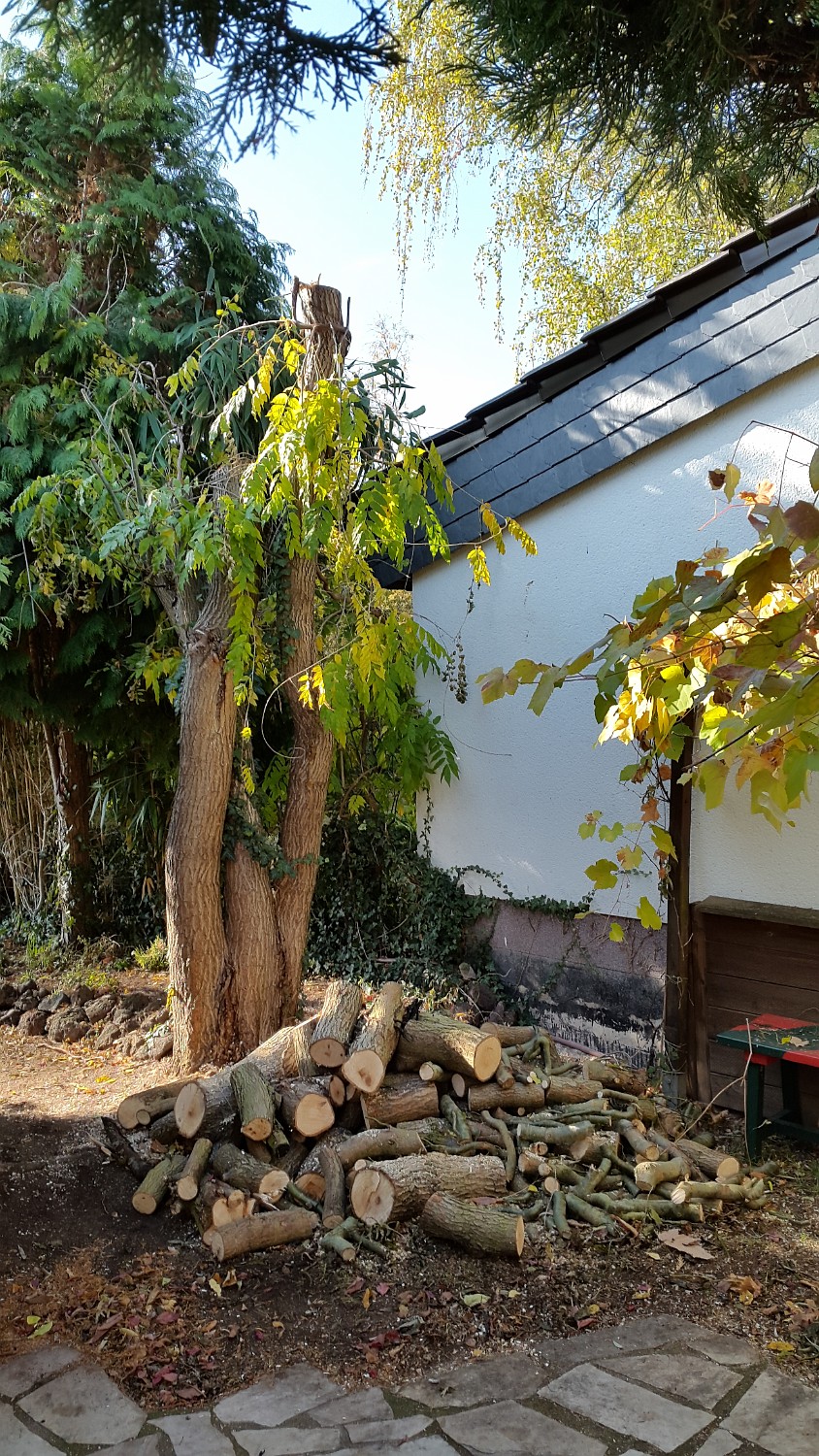 20181103 114324 - Kopie - Kopie