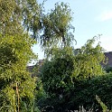 20181009 170039 - Kopie