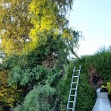 20181013 173249