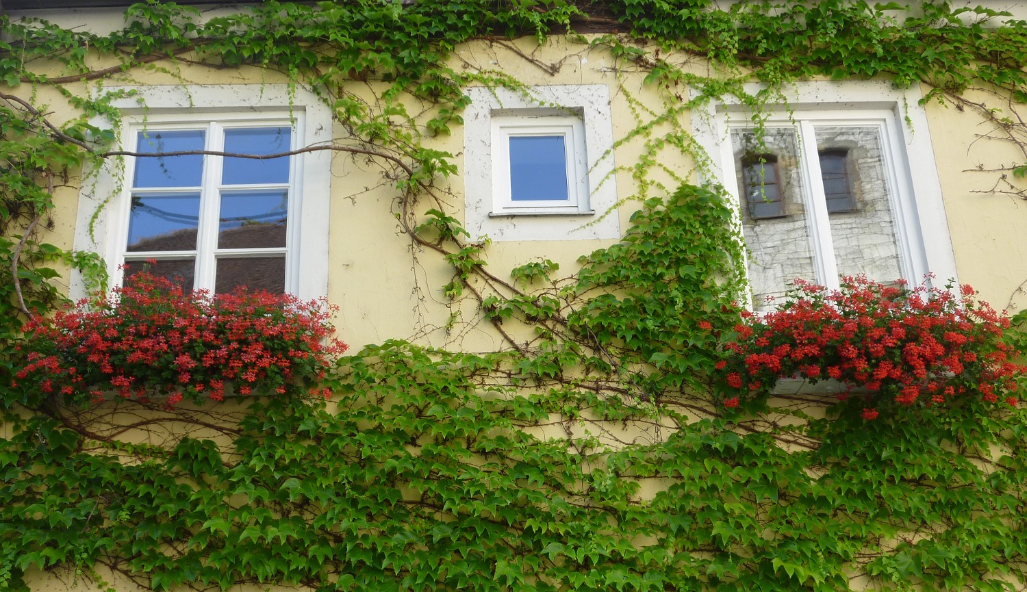 P1040199