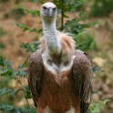 IMG 9485