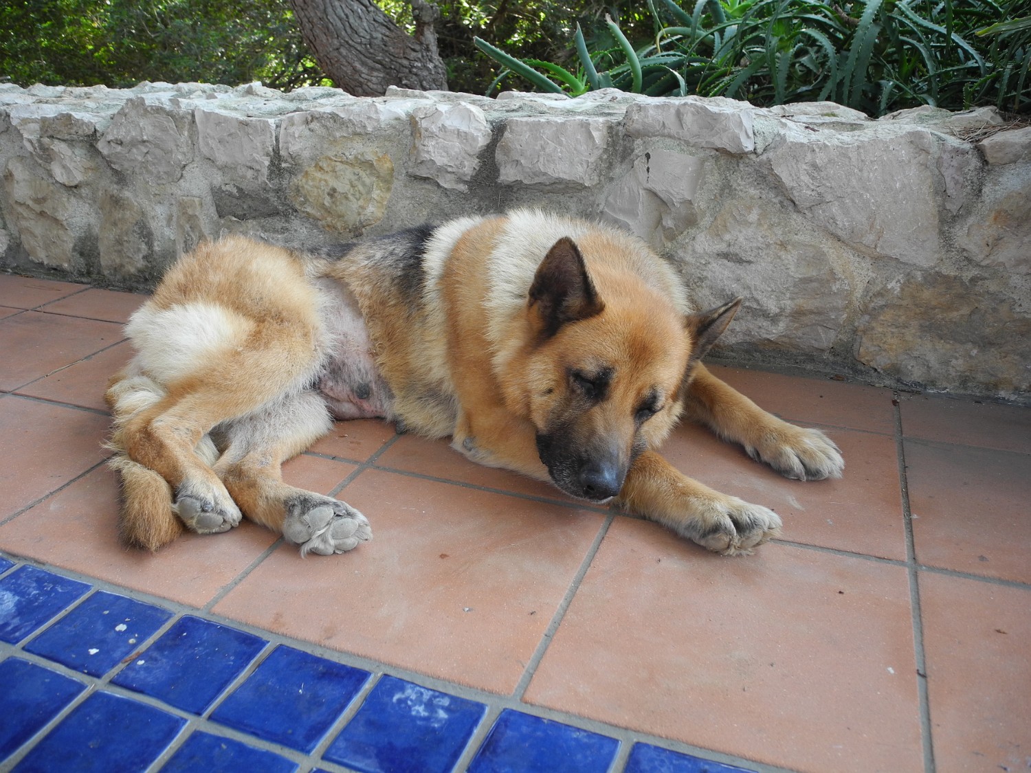 Sardinien 5-2011 013