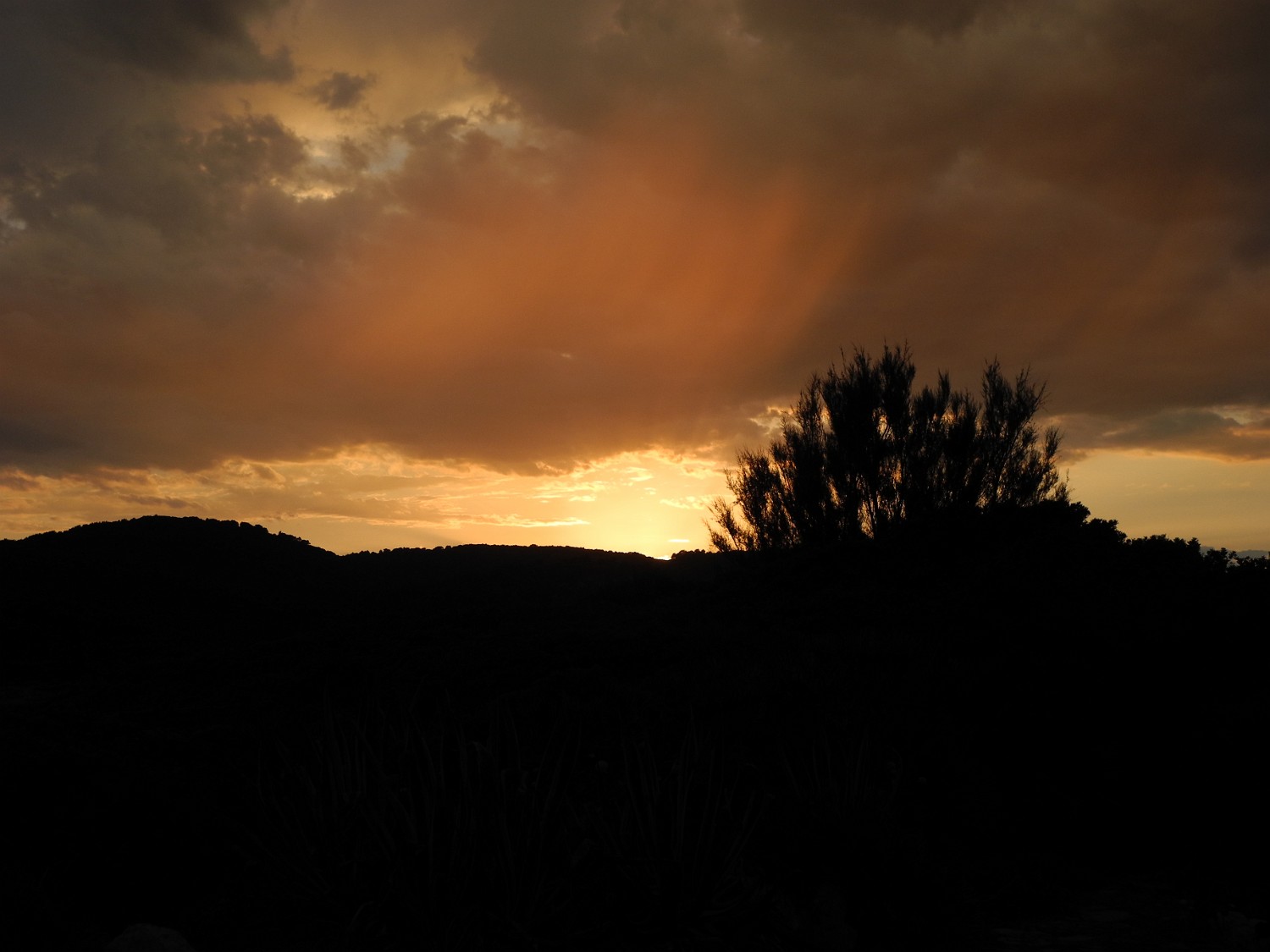 Sardinien 5-2011 142