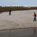 IMG 2509