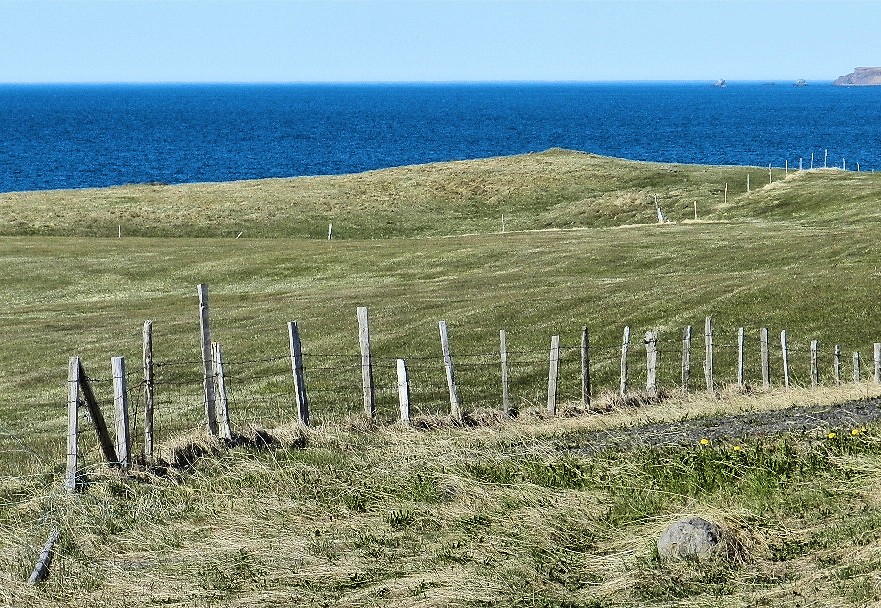 DSCN0631
