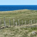 DSCN0631
