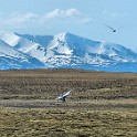 DSCN0636