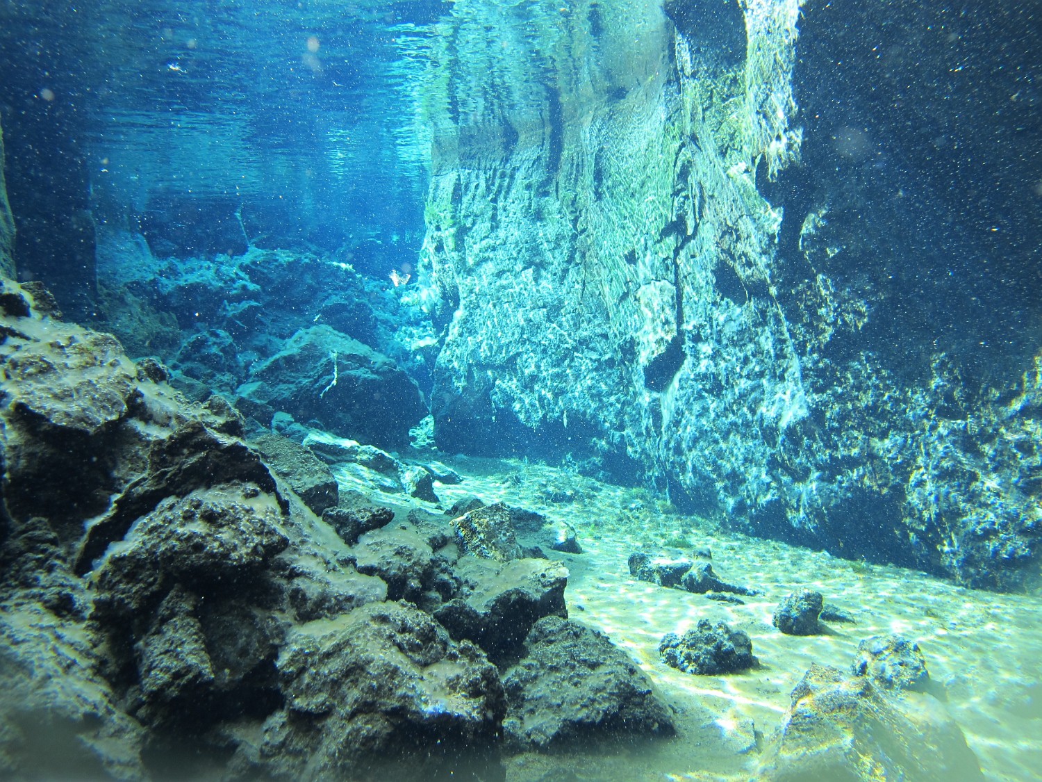 IMG 0807
