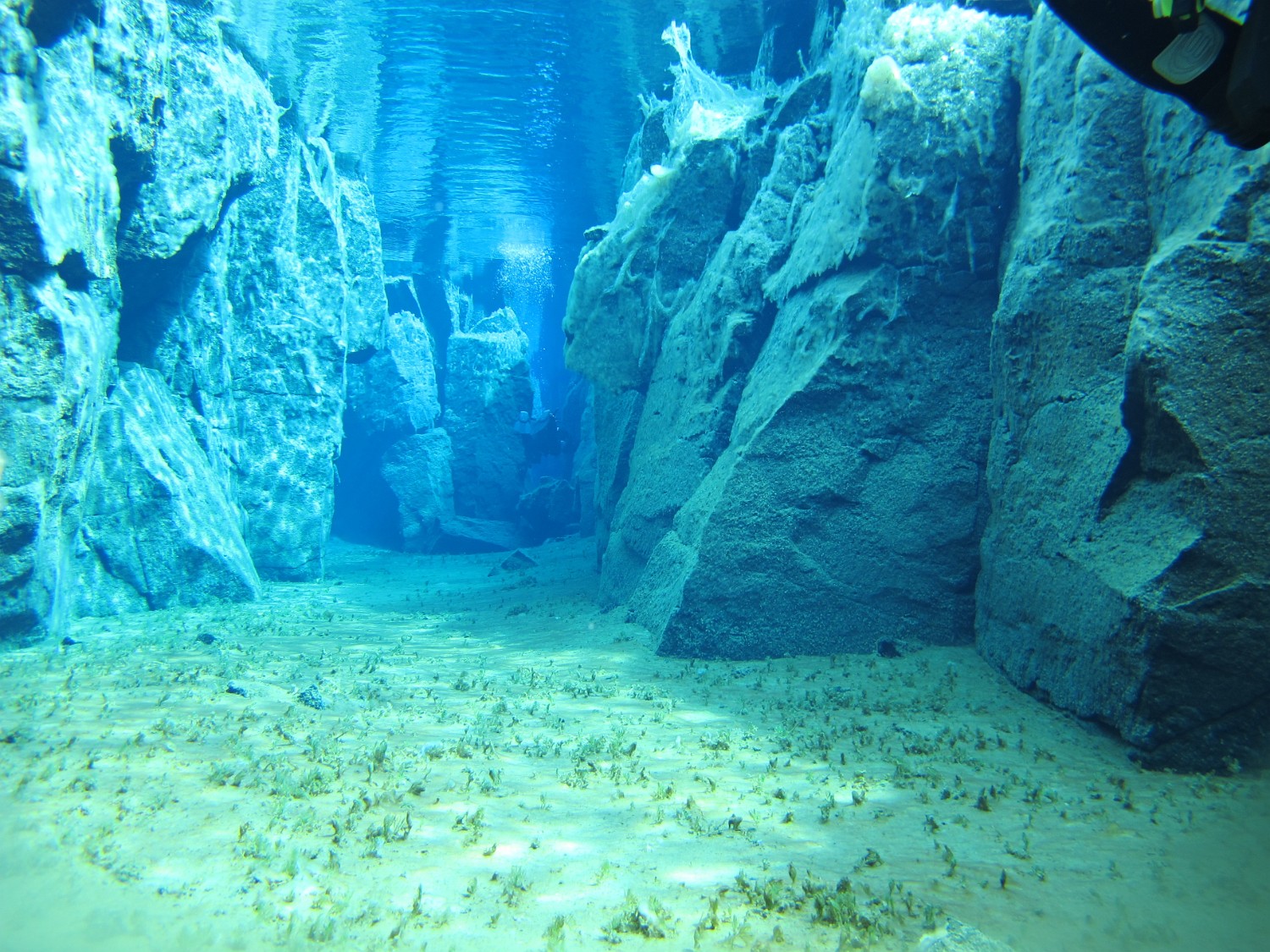 IMG 0817