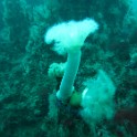IMG 0441