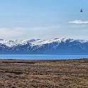 IMG 0929