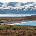IMG 4265