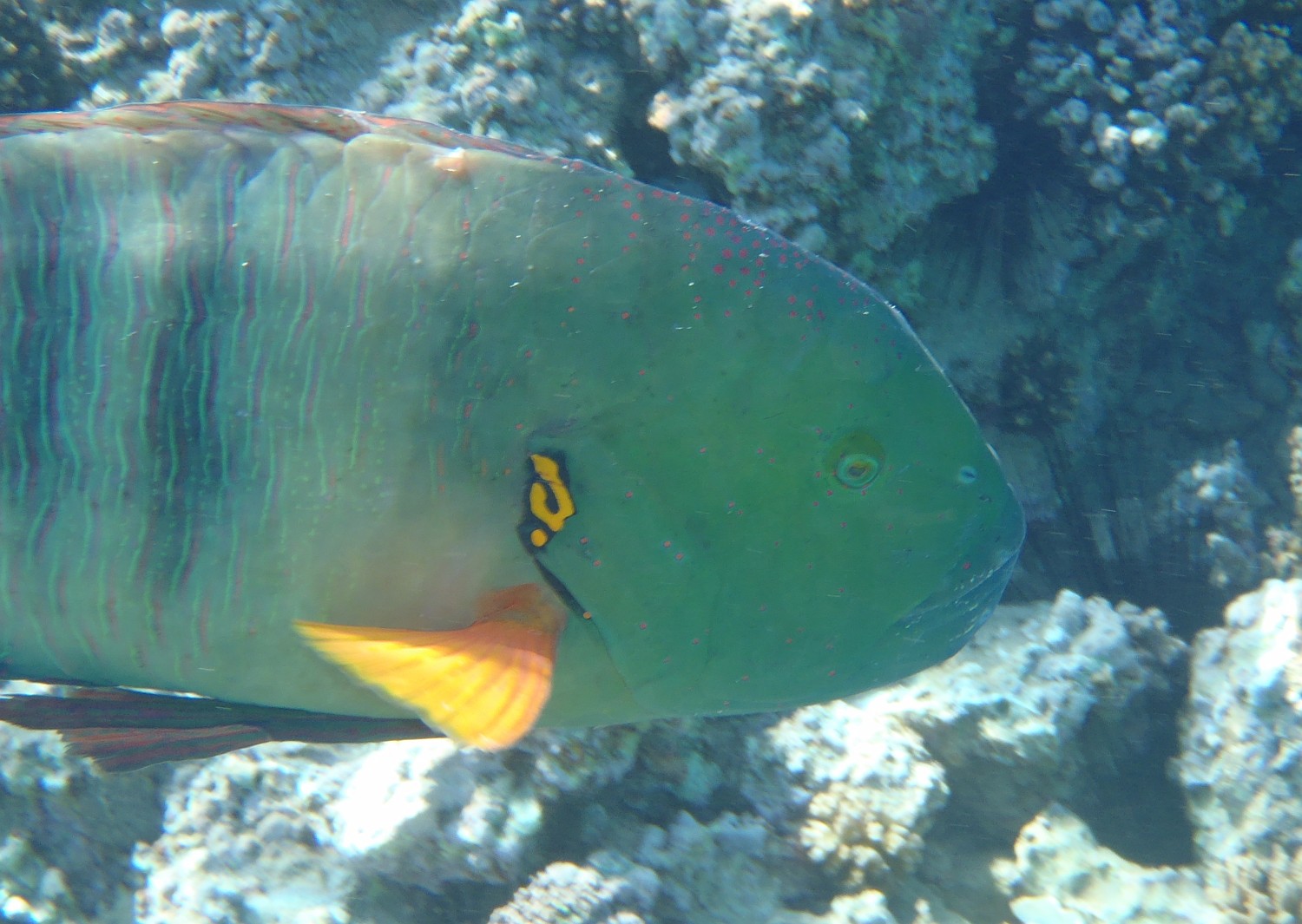 P1080039