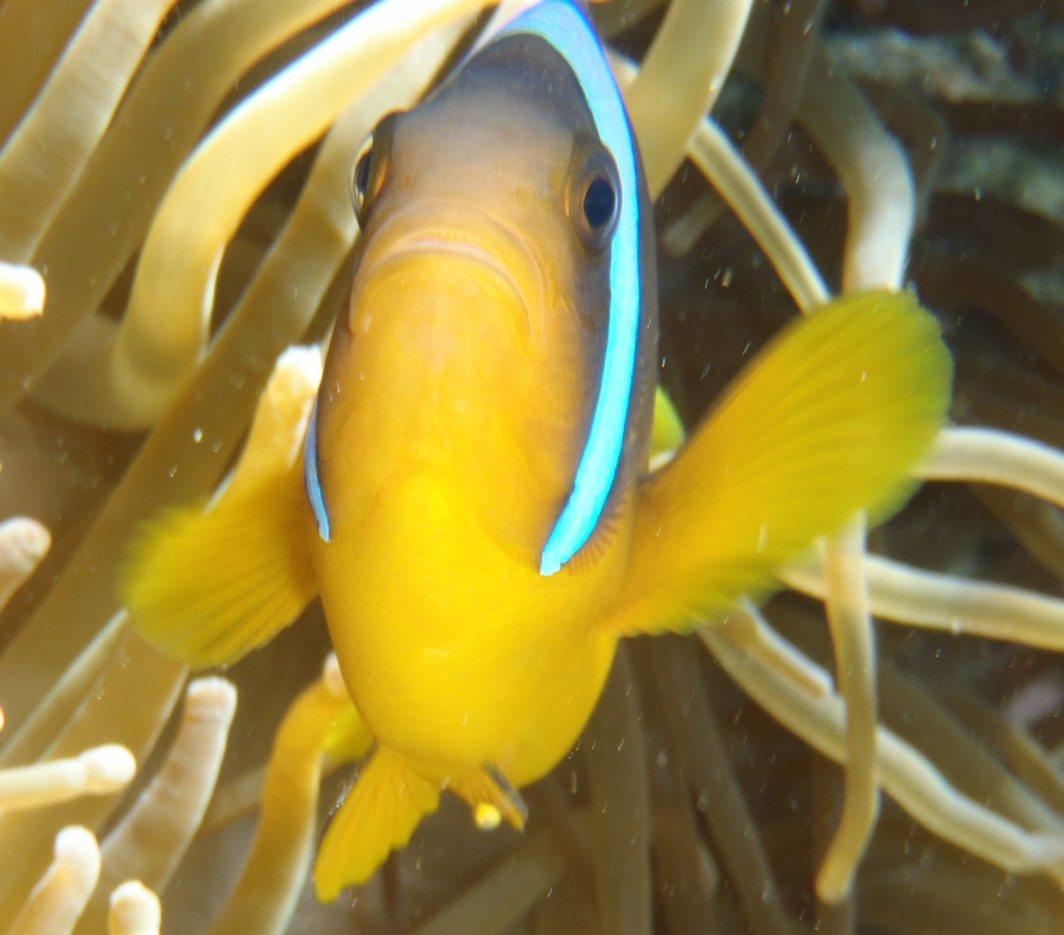 P1080051