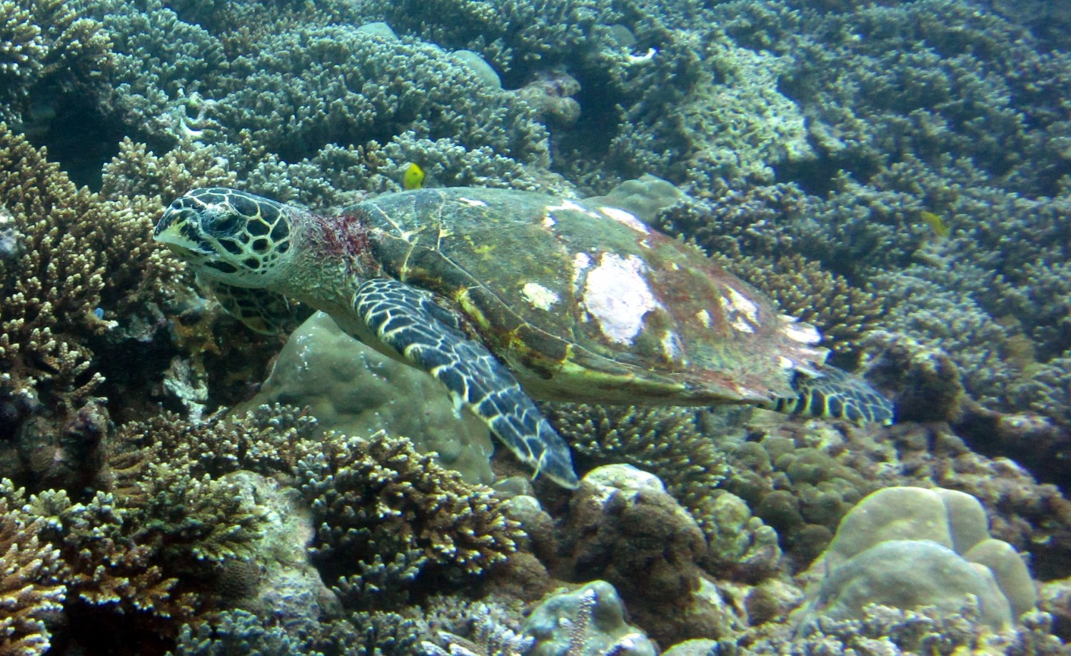 IMG 0327 1