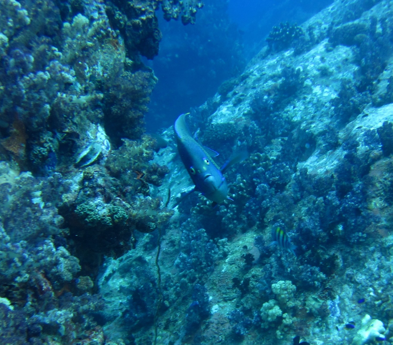 IMG 0542