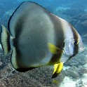 IMG 0189 1
