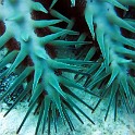 IMG 0227 1