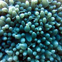 IMG 0254 1