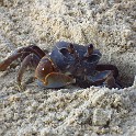IMG 0283 1