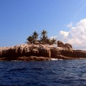 IMG 0398 1