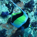 IMG 0406