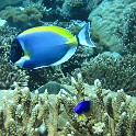 IMG 0467